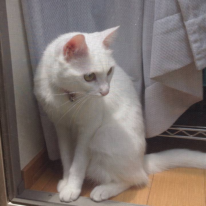 53408a8a c418 47c5 981d bcc3af5445ea 1627689848659