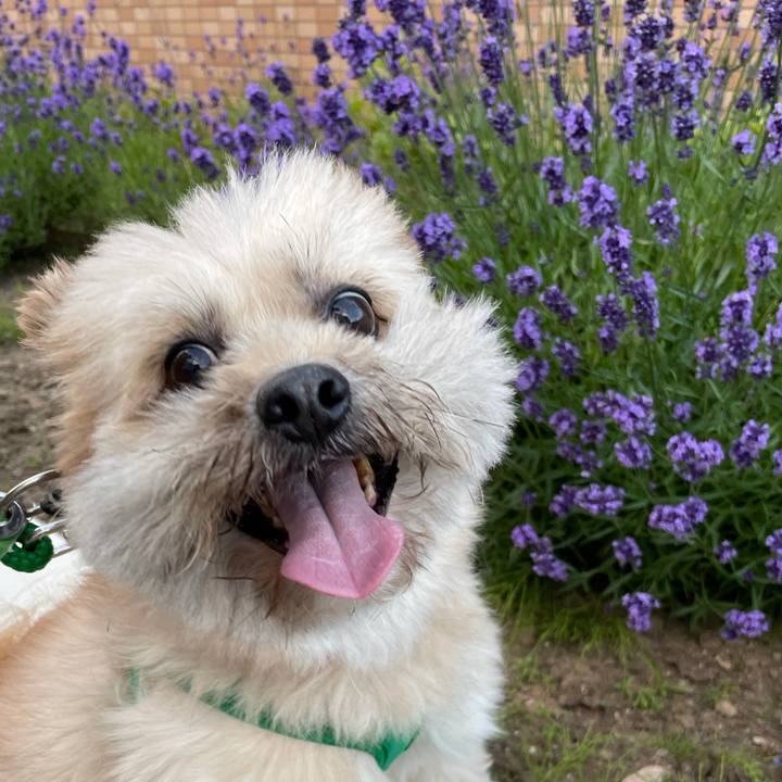 5340ae24 33cc 4ec9 8d84 4e36750b5f1b 1626506629895