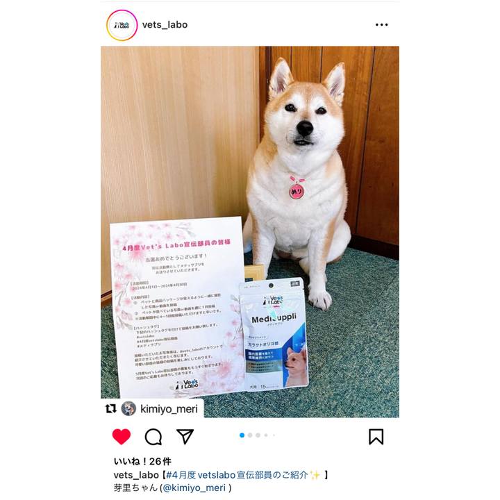 5340bb1d e426 460f 9a90 939565bea9ab 1712070167690