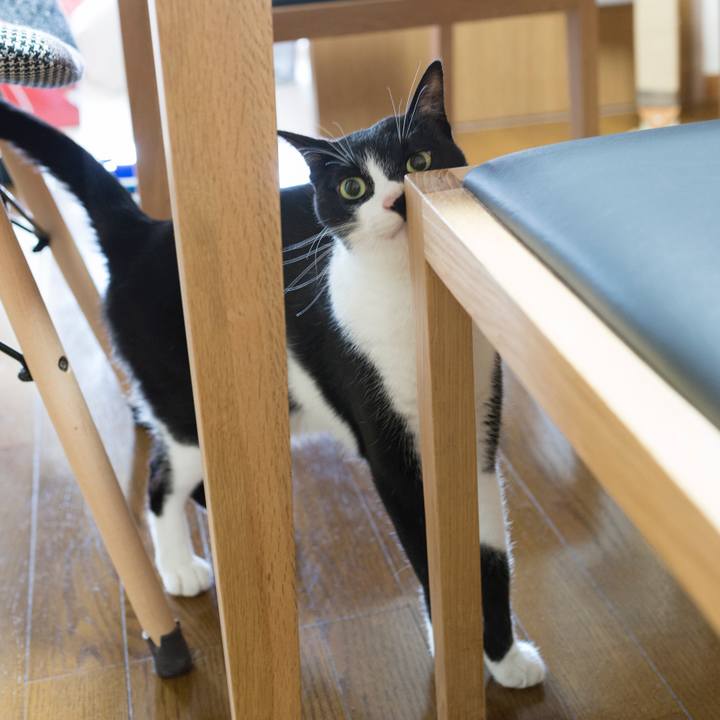 5340c834 d0ee 432a aea9 98fa73aed1b5 1528564044173