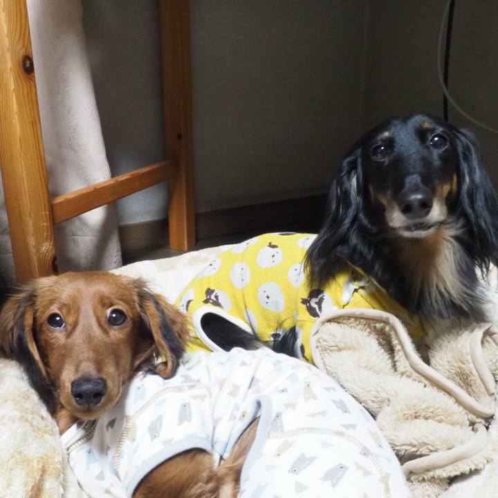 5340db15 ec04 40fa 9762 18462495ed8a 1703161577298