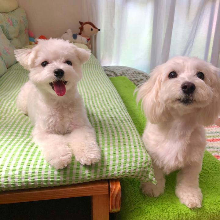 5340eacc ea4d 4ce6 af13 615684d2fc6f 1540509629807