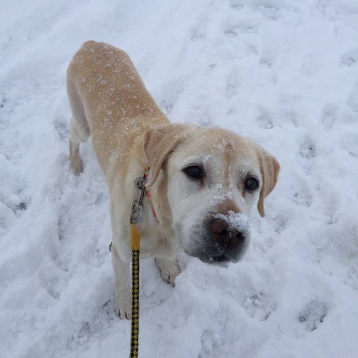 5340f017 23e5 4b31 8e22 f19064793636 1517279510854