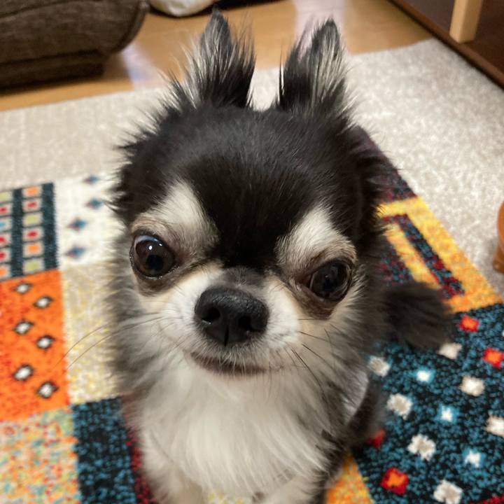 53418d33 391b 491c b08b 51437ccf4185 1699784552796