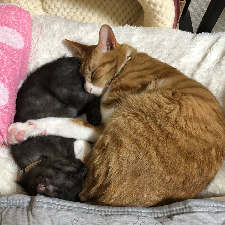 5341b583 55d9 4f04 a15f 877054653a52 1607181204851