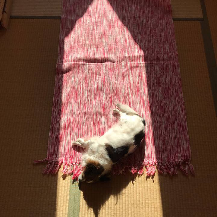 5341cce7 3b4b 4914 8945 cbccf3c016f4 1607054145426