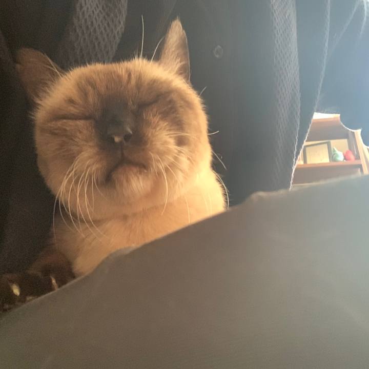 53423402 1566 4f23 bc0e e74bbe91dd6c 1699673923279