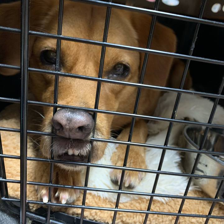 53424954 ffff 470f 9e88 69a02595a350 1575698351097