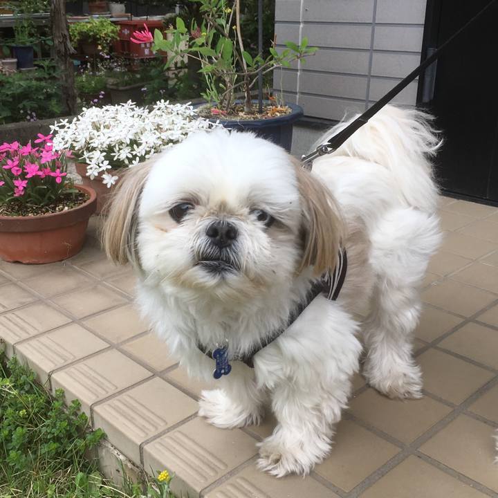 53426e14 b421 4d21 87fe 9e60a074aa98 1526176516218