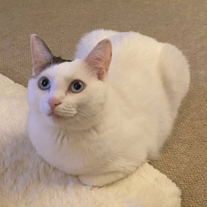 5342928a 8e58 4e08 be90 61e06571636c 1664054573394