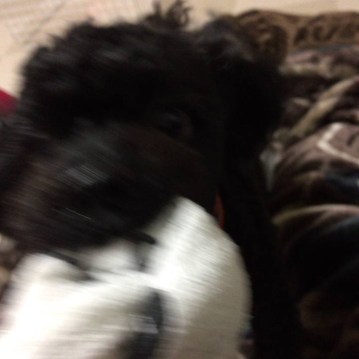 53429ebb 6efd 4559 abf9 aa434f5bc1e3 1510646634016