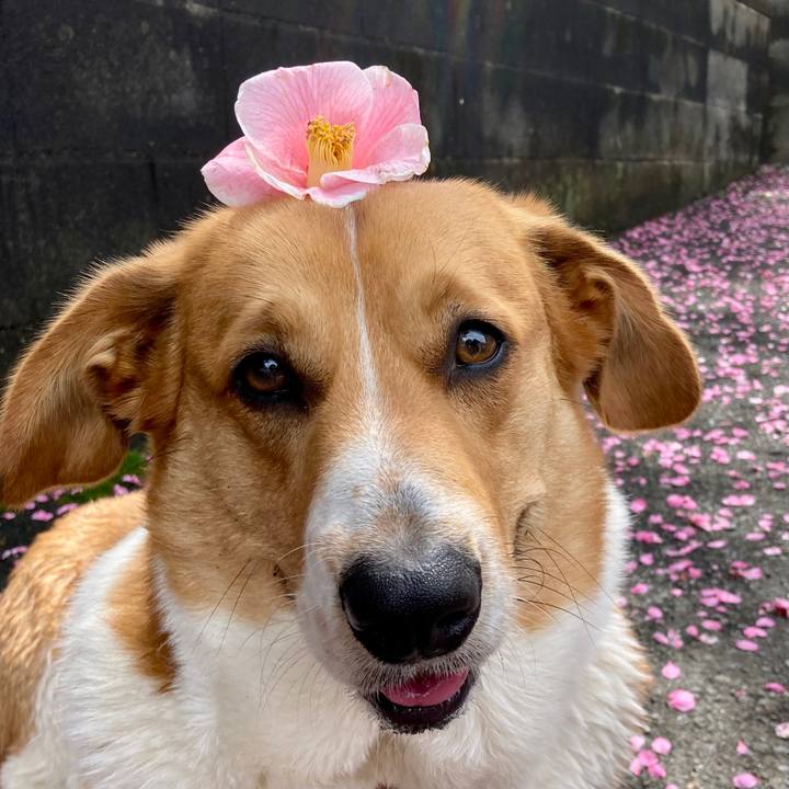 5342b450 d789 4b64 a7e3 ce346e799fd5 1679626663091