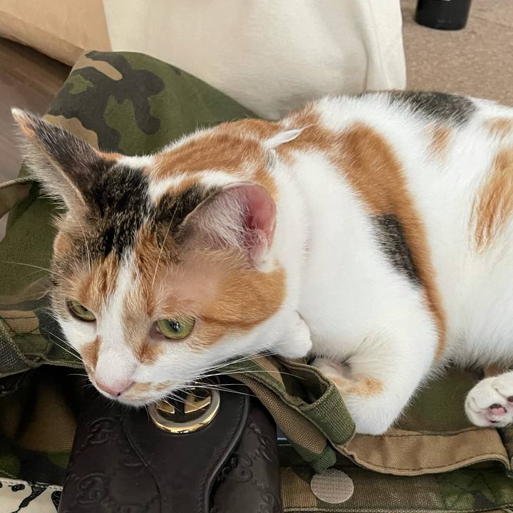 5342bc22 9853 473f afcd fdce525014a4 1631489926554