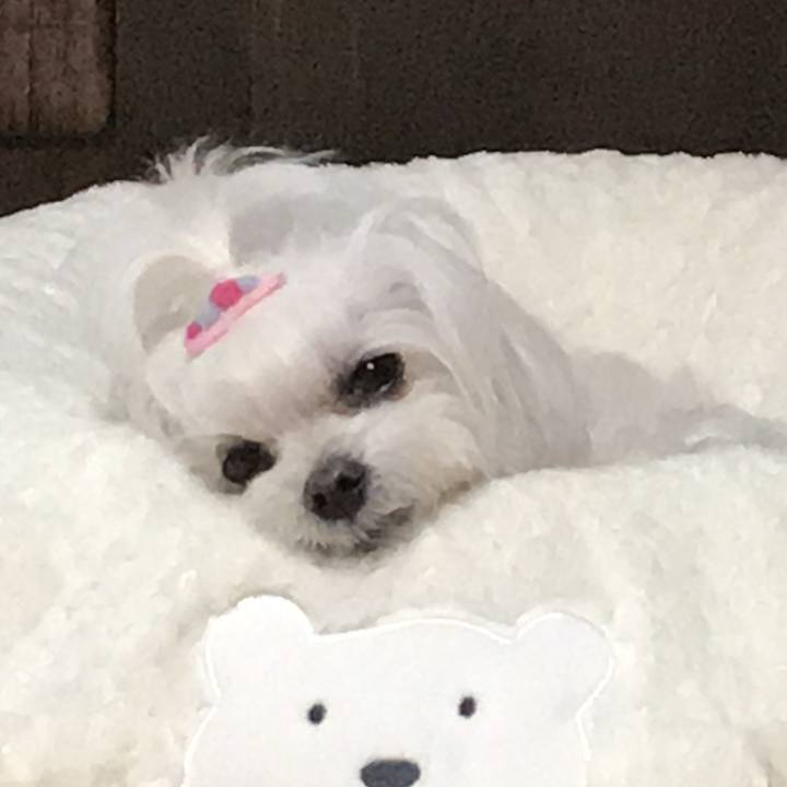 5342cf41 9300 47a0 9899 94ddb6a53e60 1764072928819