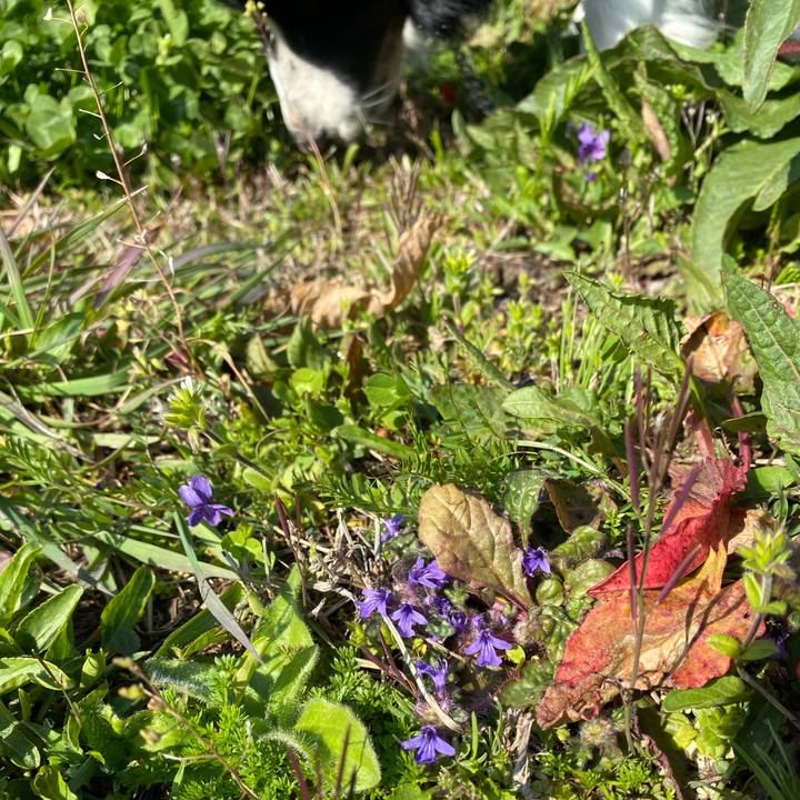 5342f3ed 2a9b 45e4 aff7 e6591a67212d 1615423943432