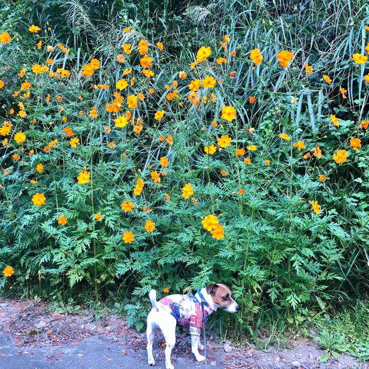 534311ca 184e 4d4d 9204 3b4cf91bf246 1598955378538