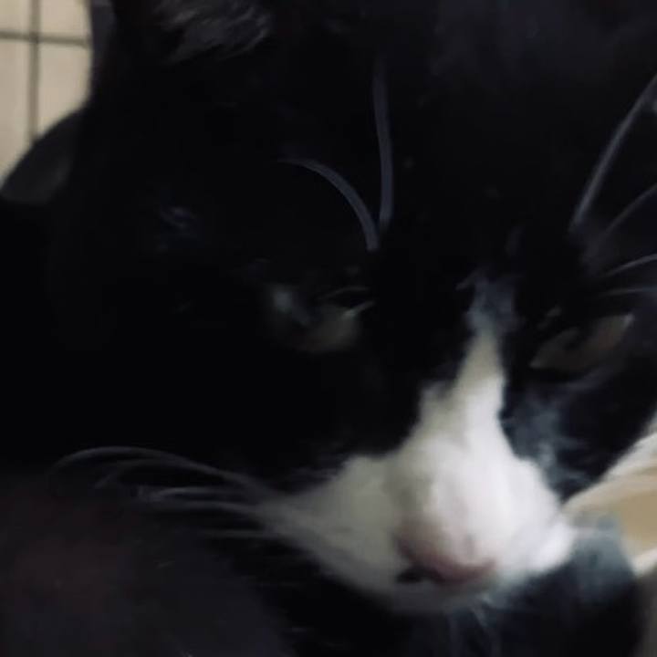 53437ea1 e902 4e91 90a5 e0f459939f60 1734868071125