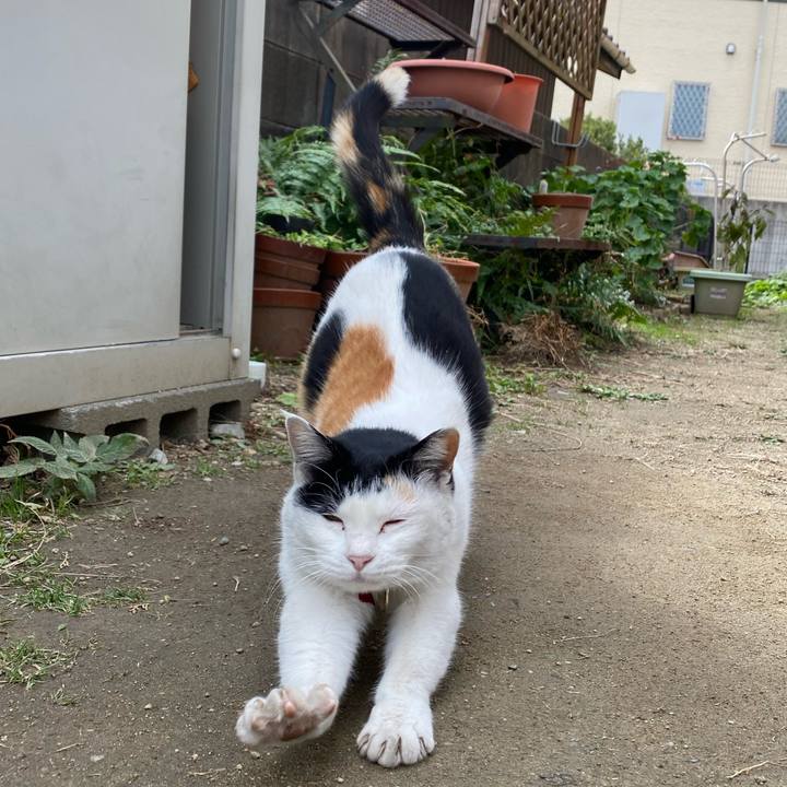 5343b23b af59 4ec7 8e9a 0a7ea9996eb7 1640643552609