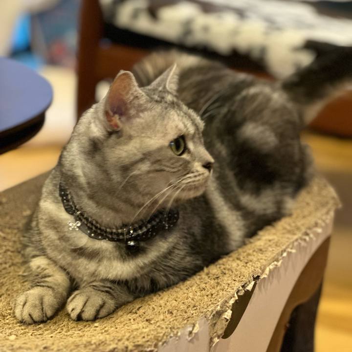 5343cfe9 fcbe 401c 9046 c1944299dba2 1695702260878