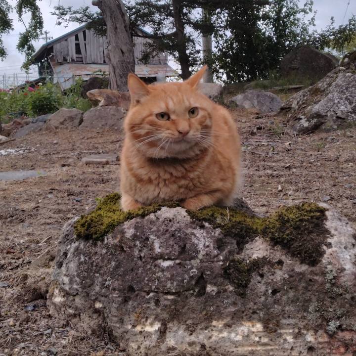 5343d80a 805e 4343 94f9 686109aa8143 1694168406753