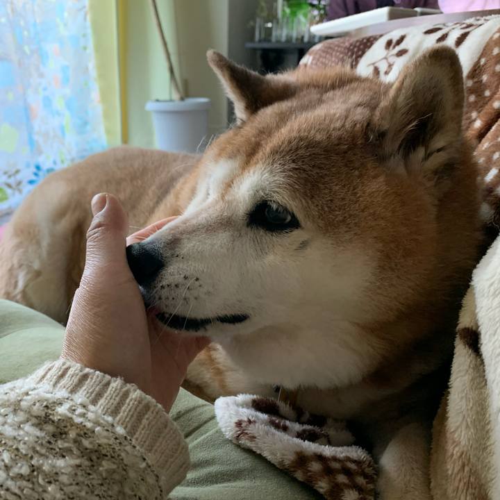 5343d9b3 72a1 4867 aef0 c07ba824739d 1579394234903