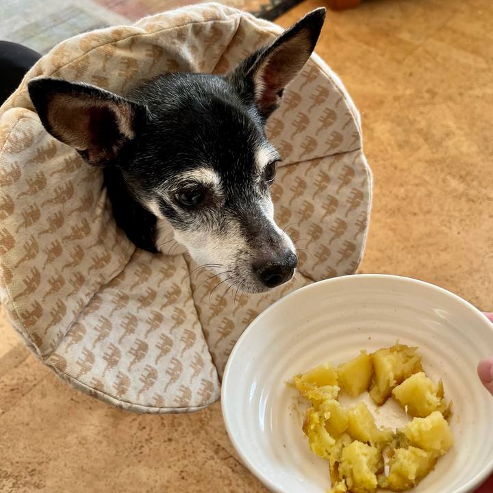 53440a18 35f2 46f5 b519 6eb5a21e7997 1644634604465