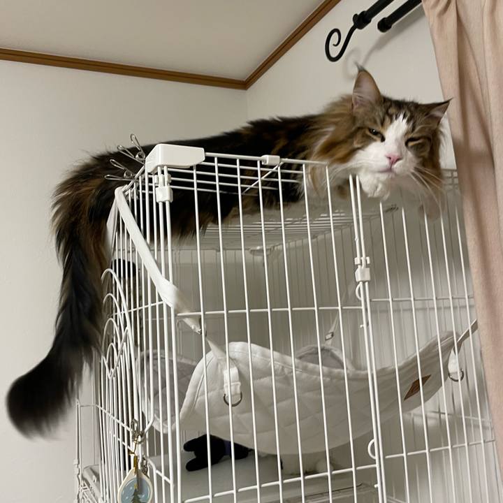 53444730 51eb 43cb 96ea 6c6449431e20 1683314843438