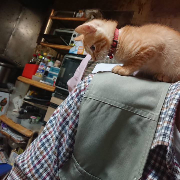 53445bea 2a9e 4768 9613 25a5858b2122 1630880247393