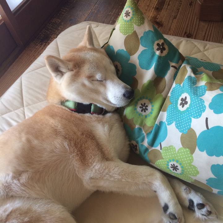 5344c497 60bb 4bcf 9b45 4c226321c4d5 1552019097354