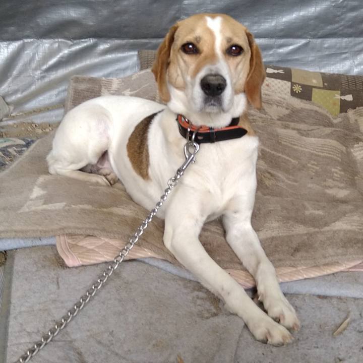 5344d0b4 687c 41e3 a473 bee5b34e16b9 1622957273615