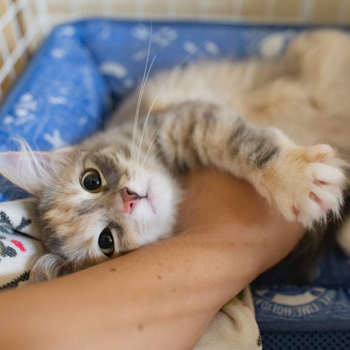 53452533 76da 4d82 ab6f b6a3c24ac158 1537355933509