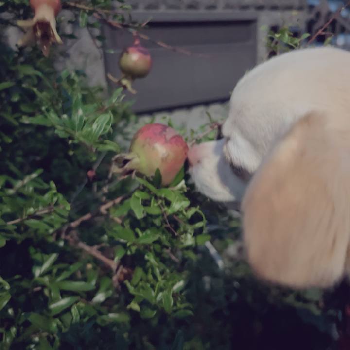 53452592 7a28 404f b0d6 6fba4c64d97f 1695373665773