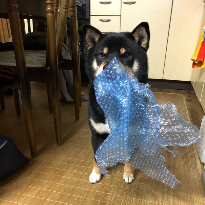 5345404f ca75 43ab 8641 94386fb5880e 1582935498161