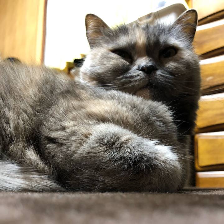 534540b5 a65f 49be b587 b2afc27f851a 1671983709577