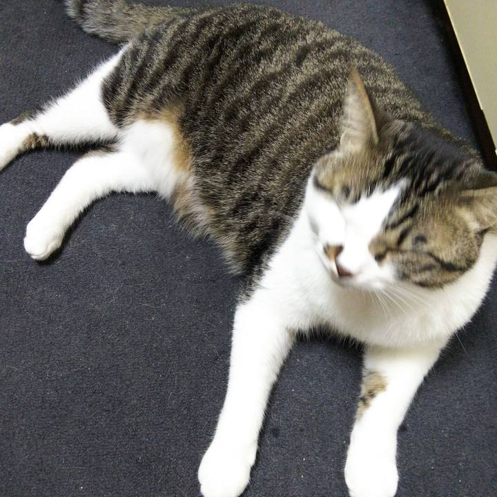 53456a9c bb4a 4d36 9cd7 6838176e4402 1655866692538