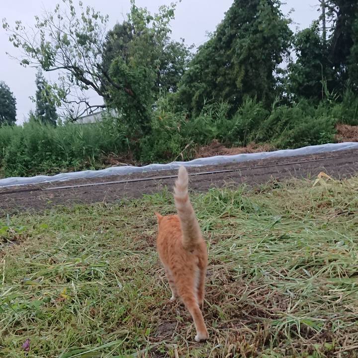 53456e3d 0585 4c55 bad1 841a99fc5c9a 1567415178376