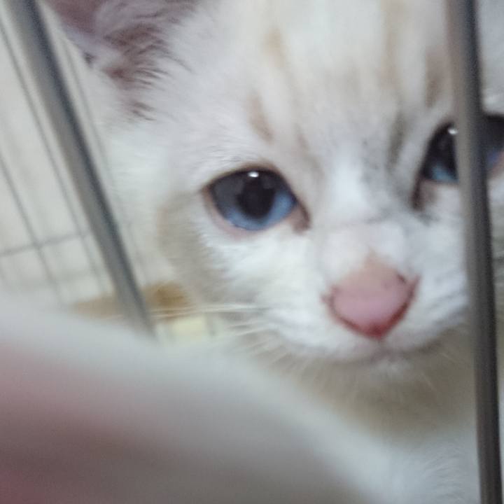 53459004 0d71 4528 9b8f be25d44792d3 1531601601268