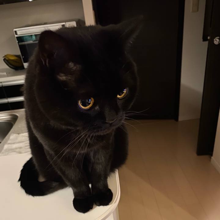 5345ac84 f8d4 4aee 8ef9 02a0c0f82bb1 1746532983341