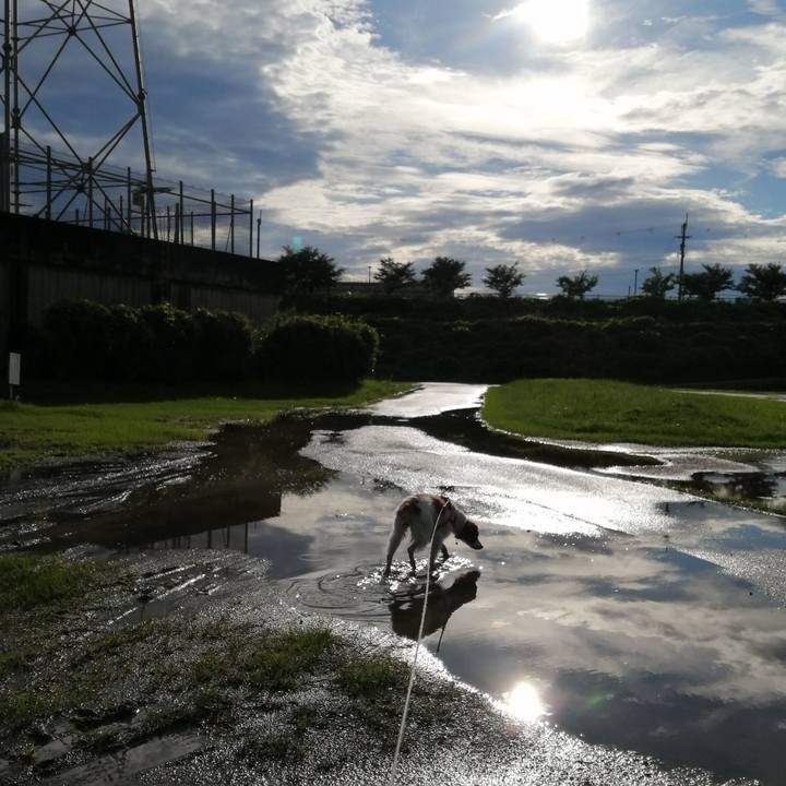 5345bfaf eb78 438d 8ffe aec206ad77e7 1629460660586