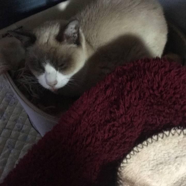 5345f137 090c 4027 9785 106c64165dee 1519767994865