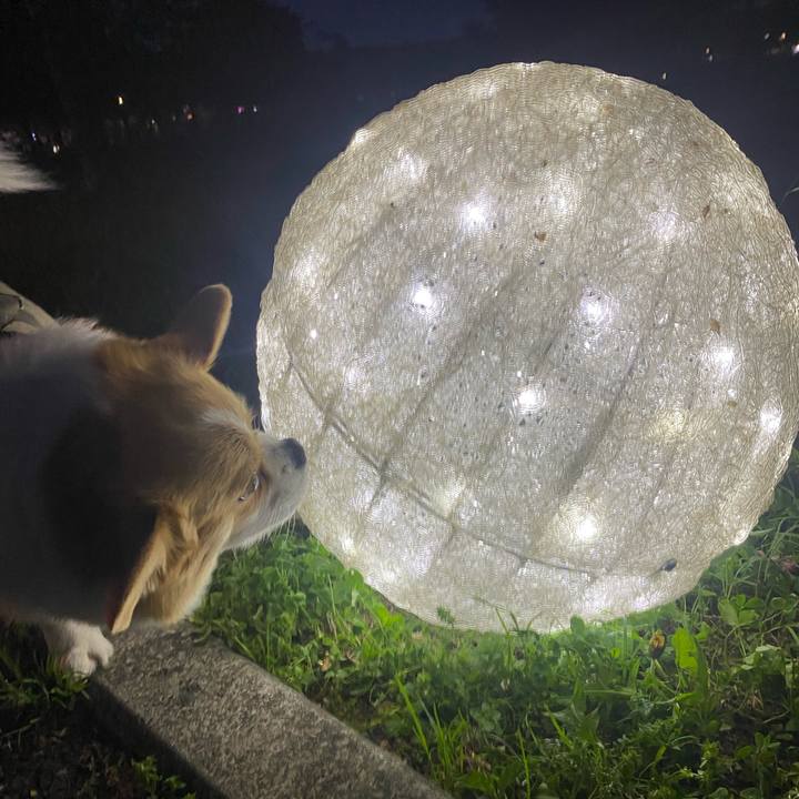 53461969 54b8 4c51 ab1f 77ec61cb0fac 1714385111820