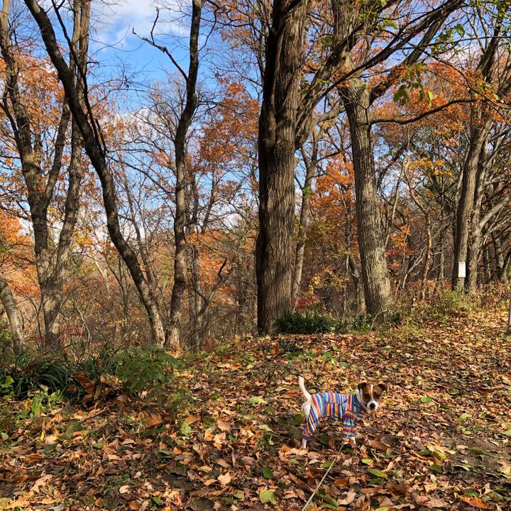 53464867 e217 4046 ba9c 12ff467978ae 1575074921591