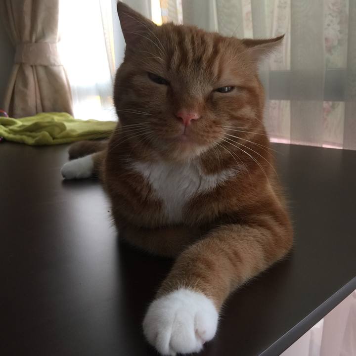 534691f3 b8f7 485f bf94 72423957e0f8 1537750201613