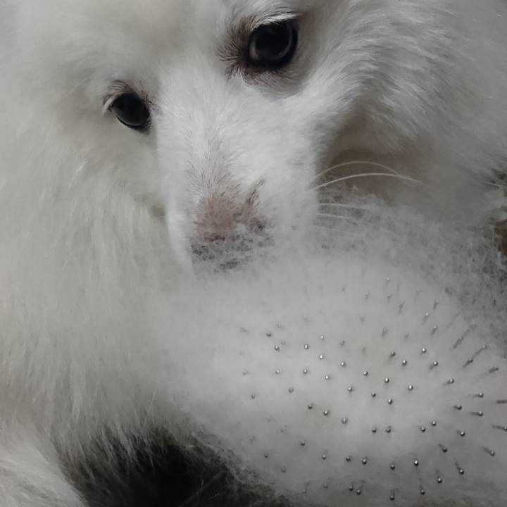 5346a124 d8e6 4d00 ac0a da3cbc634130 1569938571381