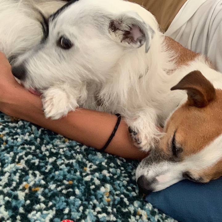 5346a28d 4c59 4738 8c3e 55d748e45f5e 1568559006279