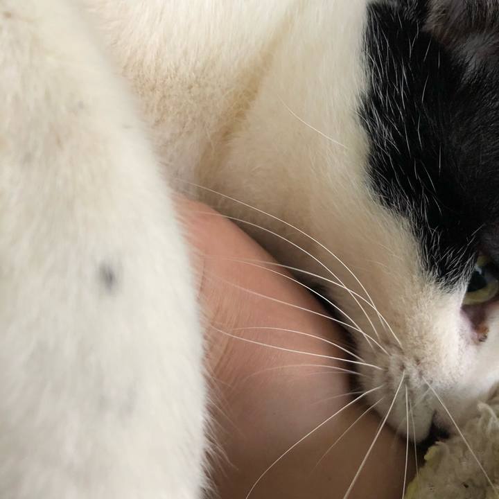 5346a9d2 bf8c 4f5a 8b75 2f9fc9ca158b 1552689342605