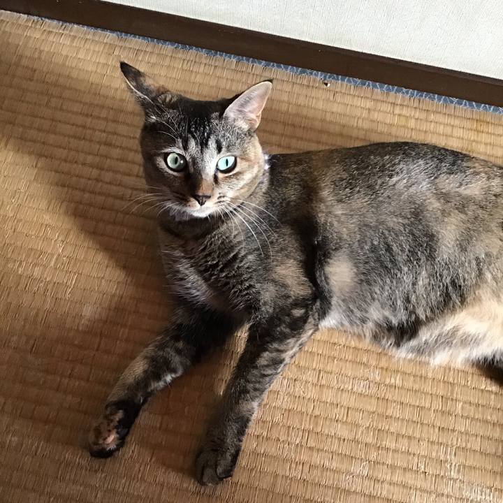 5346b97b d17f 445c 8d76 c2b31704f2f3 1597974956115