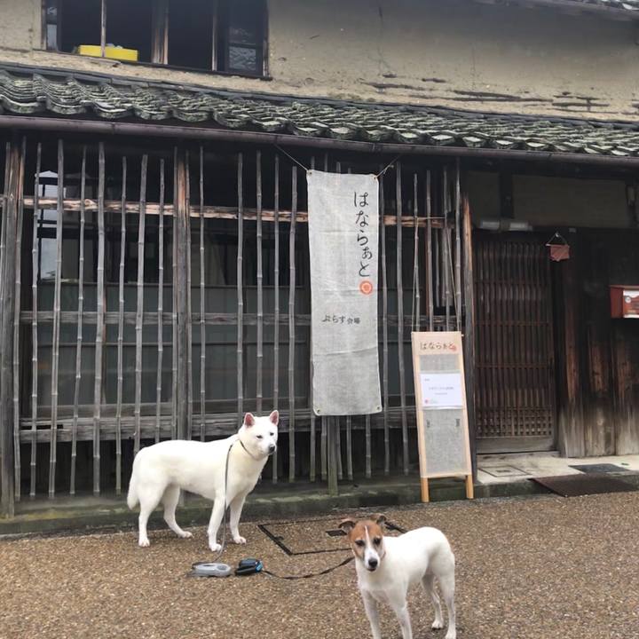 5346c7fa cd7f 4e70 bed2 89072e4d1a89 1509152120504