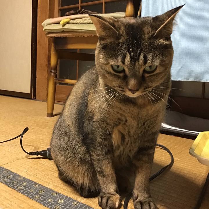 5346d4a8 e184 479a 9669 756d9839d60f 1667739033445