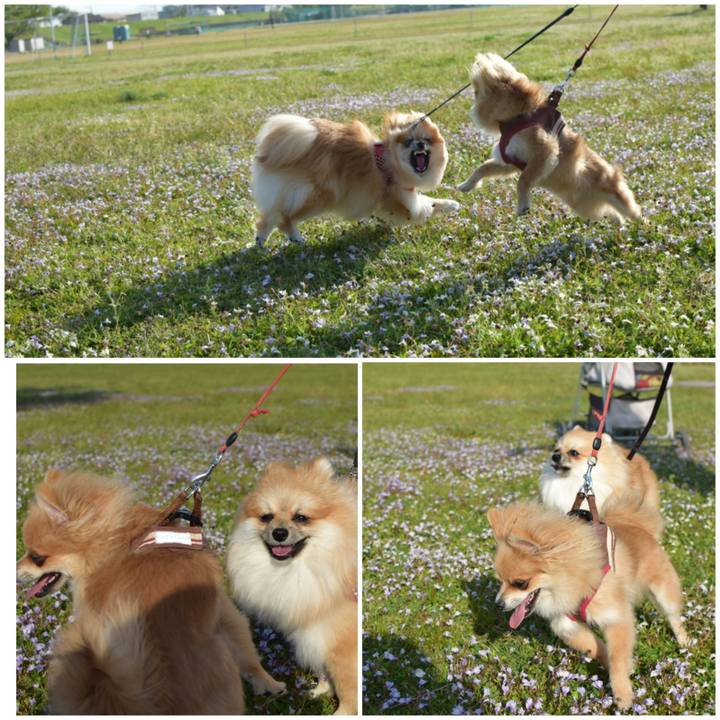 5346f342 0b5d 486a 9ba6 5d2ebc980023 1524747544828